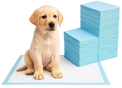 Podkłady higieniczne dla zwierząt BARRY 45x60 100 szt.