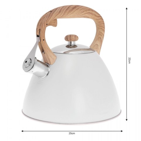 CZAJNIK STALOWY LAKIEROWANY MAT 3.0L KLAUSBERG KB-7264