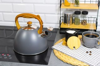 Czajnik stalowy z gwizdkiem gaz indukcja DUŻY 3L szary matowy BRUNBESTE BB-2363