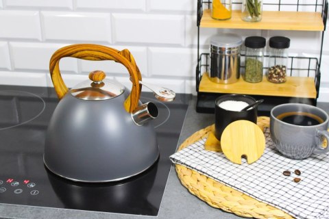 Czajnik stalowy z gwizdkiem gaz indukcja DUŻY 3L szary matowy BRUNBESTE BB-2363