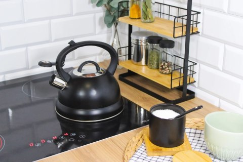 Czajnik stalowy z gwizdkiem tradycyjny indukcja 2.5L czarny BRUNBESTE BB-2406