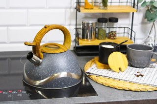 Czajnik stalowy z gwizdkiem tradycyjny na gaz indukcję 3L szary BRUNBESTE BB-2277