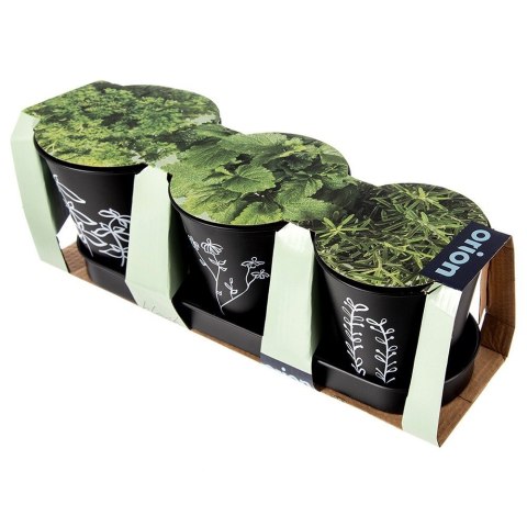 Doniczki na zioła na podstawce donice doniczka metalowa roślinny wzór BLACKLINE 4-ele ORION 310628