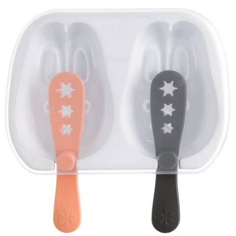 FOREMKA NA LODY PODWÓJNA FORMA DO LODÓW NA PATYKU Z POKRYWKĄ ORION 154410