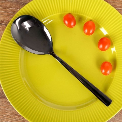 ŁYŻKA DO SERWOWANIA NAKŁADANIA SAŁATY ZE STALI NIERDZEWNEJ CZARNA BLACK 25CM ORION 144607