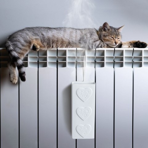 Nawilżacz powietrza na kaloryfer grzejnik ewaporacyjny ceramiczny serca 300 ml ORION 830835