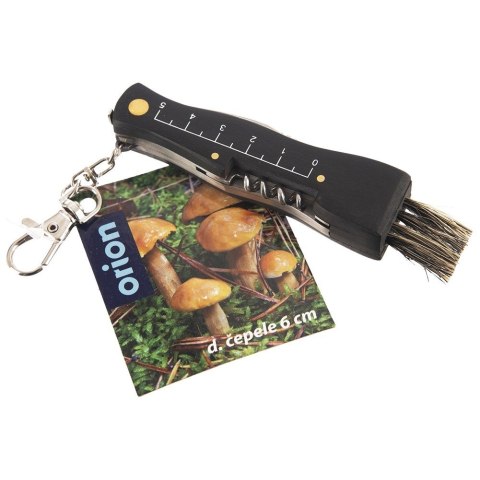 Nożyk nóż do grzybów na grzyby scyzoryk składany stalowy ORION 842403