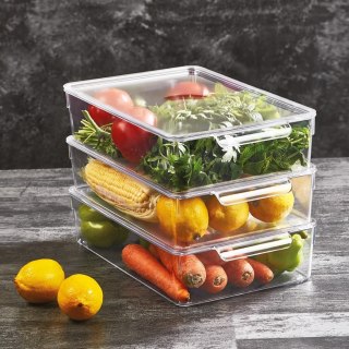 ORGANIZER DO LODÓWKI POJEMNIK Z POKRYWKĄ NA PRZYPRAWY PRODUKTY SPOŻYWCZE 32.5X20X7.5CM ORION 731633