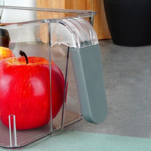 ORGANIZER DO LODÓWKI POJEMNIK Z UCHWYTEM 30X13X11.5CM EXCELLENT HOUSEWARE 229184