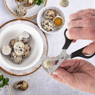 Obcinacz do jajek stalowy nożyczki 14.5cm ORION 141421