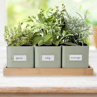 Osłonki na doniczki osłona doniczka na zioła na podstawce zielona metalowa GREENISH 4-ele ORION 310629