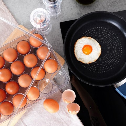 POJEMNIK NA JAJKA DO LODÓWKI Z POKRYWKĄ ORGANIZER NA 24 JAJKA VILDE 259634