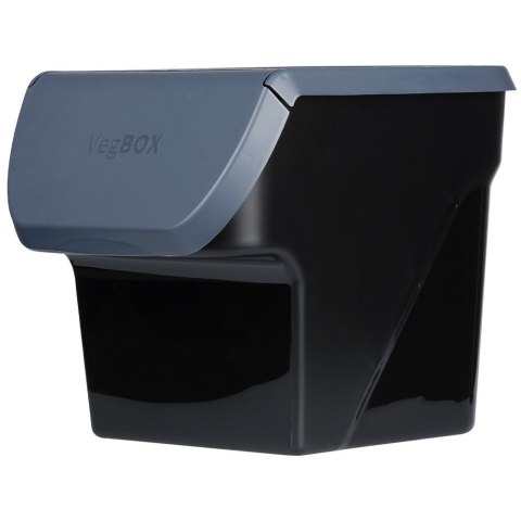 Pojemnik na warzywa i owoce ziemniaki cebulę z pokrywą antracytowy 13L VILDE 730510-A