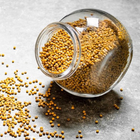 Pojemnik na żywność jedzenie słoik szklany duży 3L ORION 127546