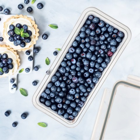 Pojemnik na żywność wędliny ser z pokrywką i uszczelką 400 ml ORION 127188