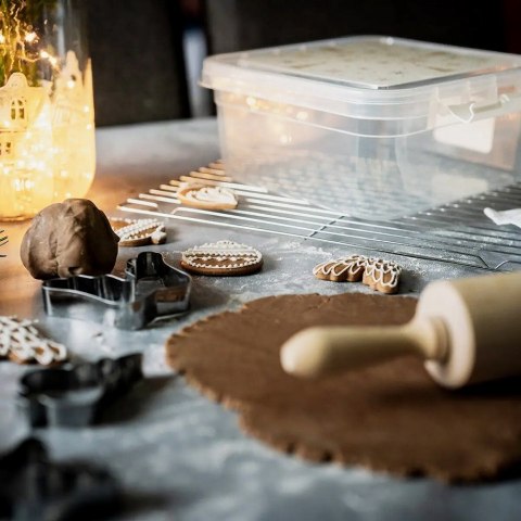 Pojemnik plastikowy na żywność jedzenie z pokrywką PŁATEK 4.5L ORION 127198