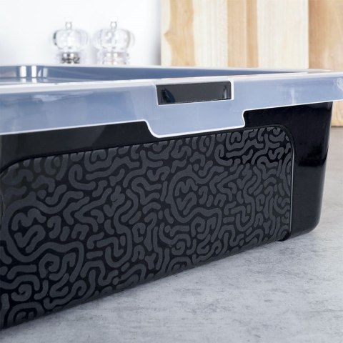 Pojemnik pudełko na ciasto do ciasta z pokrywą 40x33x10 cm VILDE 259248