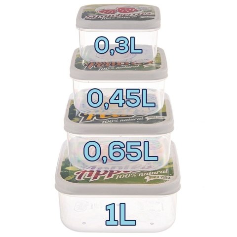 Pojemniki plastikowe na żywność jedzenie owoce pojemnik 4-ele ORION 154057