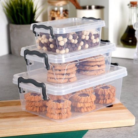 Pojemniki plastikowe na żywność z pokrywką 0.6/1.2/2L 3 sztuki ORION 126025