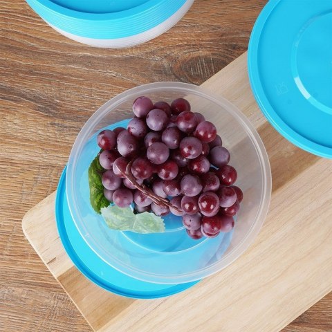 Pojemniki plastikowe na żywność z pokrywką 650 ml komplet 10-ele VILDE 259274