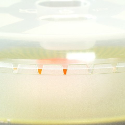 Pokrywka do mikrofalówki podgrzewania w mikrofali 26cm ORION 152602