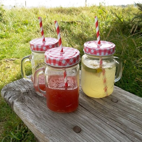 Słoik do picia napojów szklany z zakrętką i słomką 450ml ORION 125551