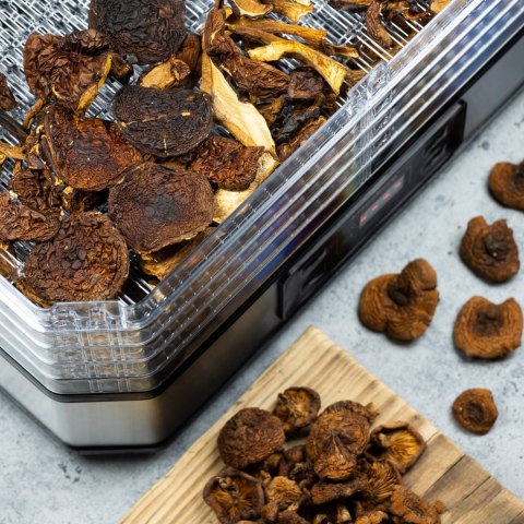 SUSZARKA DO ŻYWNOŚCI, GRZYBÓW i OWOCÓW 350W KLAUSBERG KB-7569