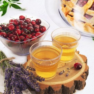 Szklanka do napojów plastikowa akryl CHARISMA 350ml ORION 121778