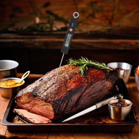 Termometr kuchenny do pieczenia mięsa oleju elektroniczny sonda ORION 152868