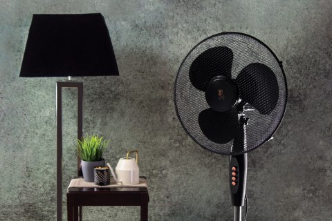 WENTYLATOR WIATRAK 125cm BERLINGER HAUS BLACK ROSE BH-9130