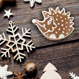 Wykrawacz do ciastek stalowy jeż 5 cm ORION 127477