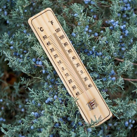 Termometr zewnętrzny i wewnętrzny analogowy wieszany MDF 22cm PROGARDEN 569289
