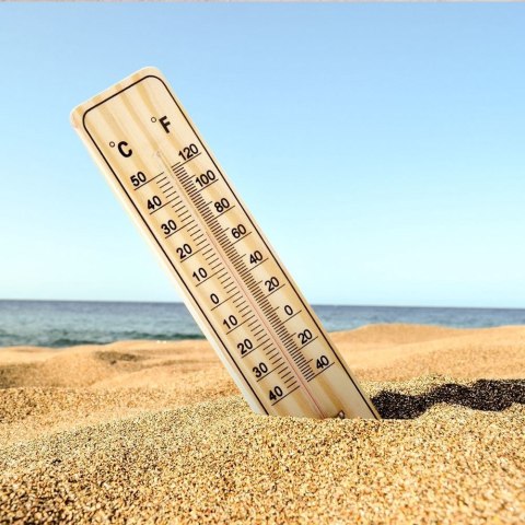 Termometr zewnętrzny i wewnętrzny analogowy wieszany MDF 22cm PROGARDEN 569289